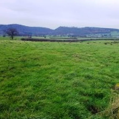 bulkeley  ridley   countryside 3