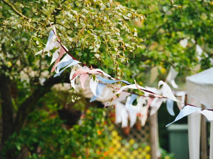 bunting flags blowing