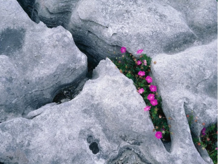 burren