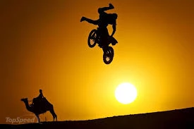 camel and red bull