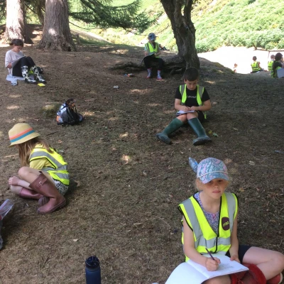 carding mill valley 4