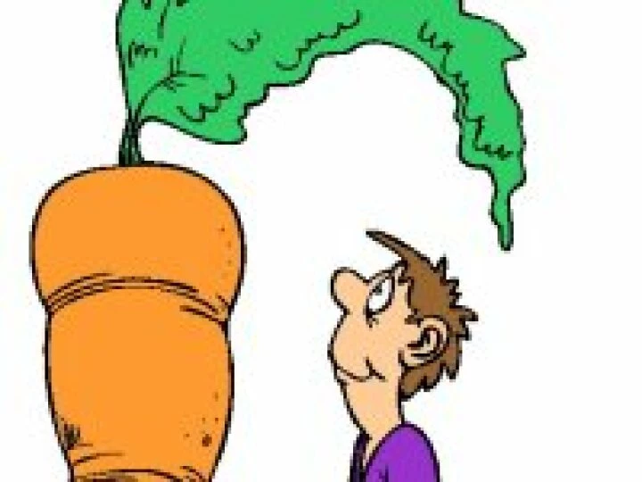 carrot