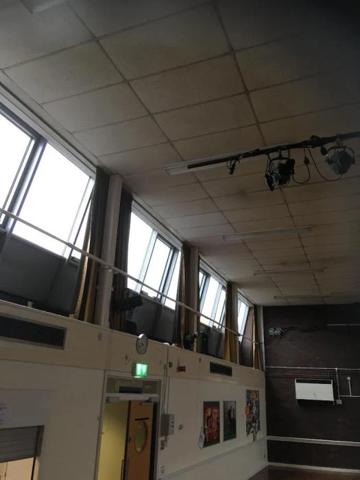 ceiling tiles sue