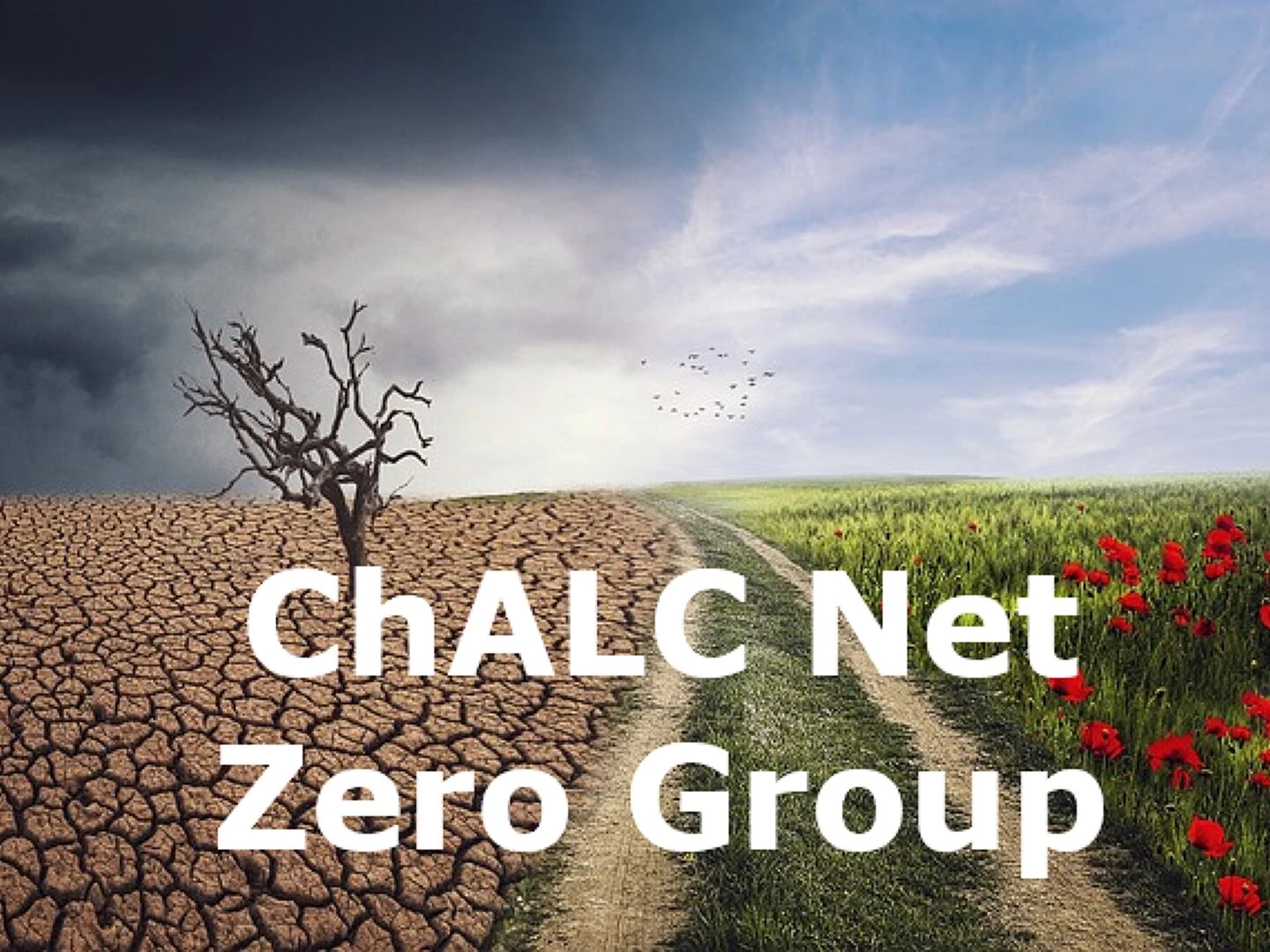 chalc net zero group