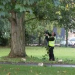 chris tackles the old nests