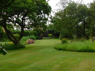 chriss garden