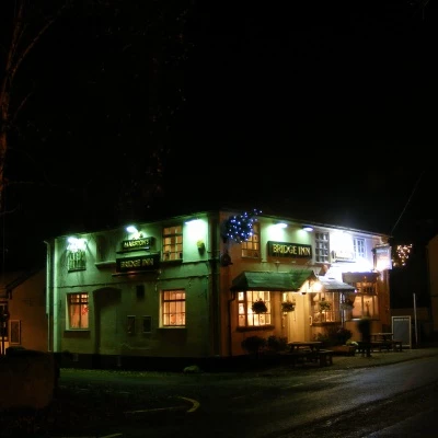christmas lights