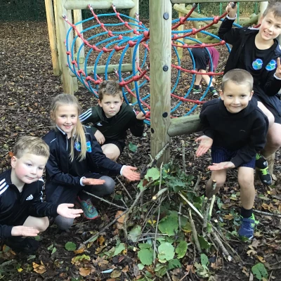 class 3 den d