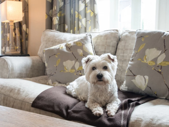 comberemere abbey dog friendly cottages