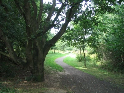 community woodland