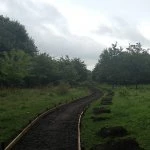 community woodland