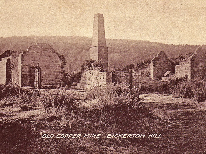 coppermine1000x666 1