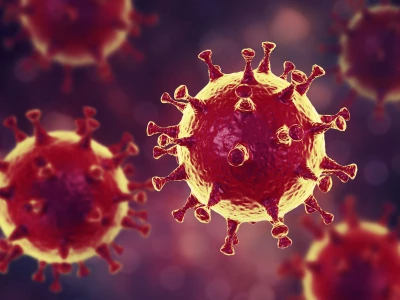 coronavirus covid 19 virus illness