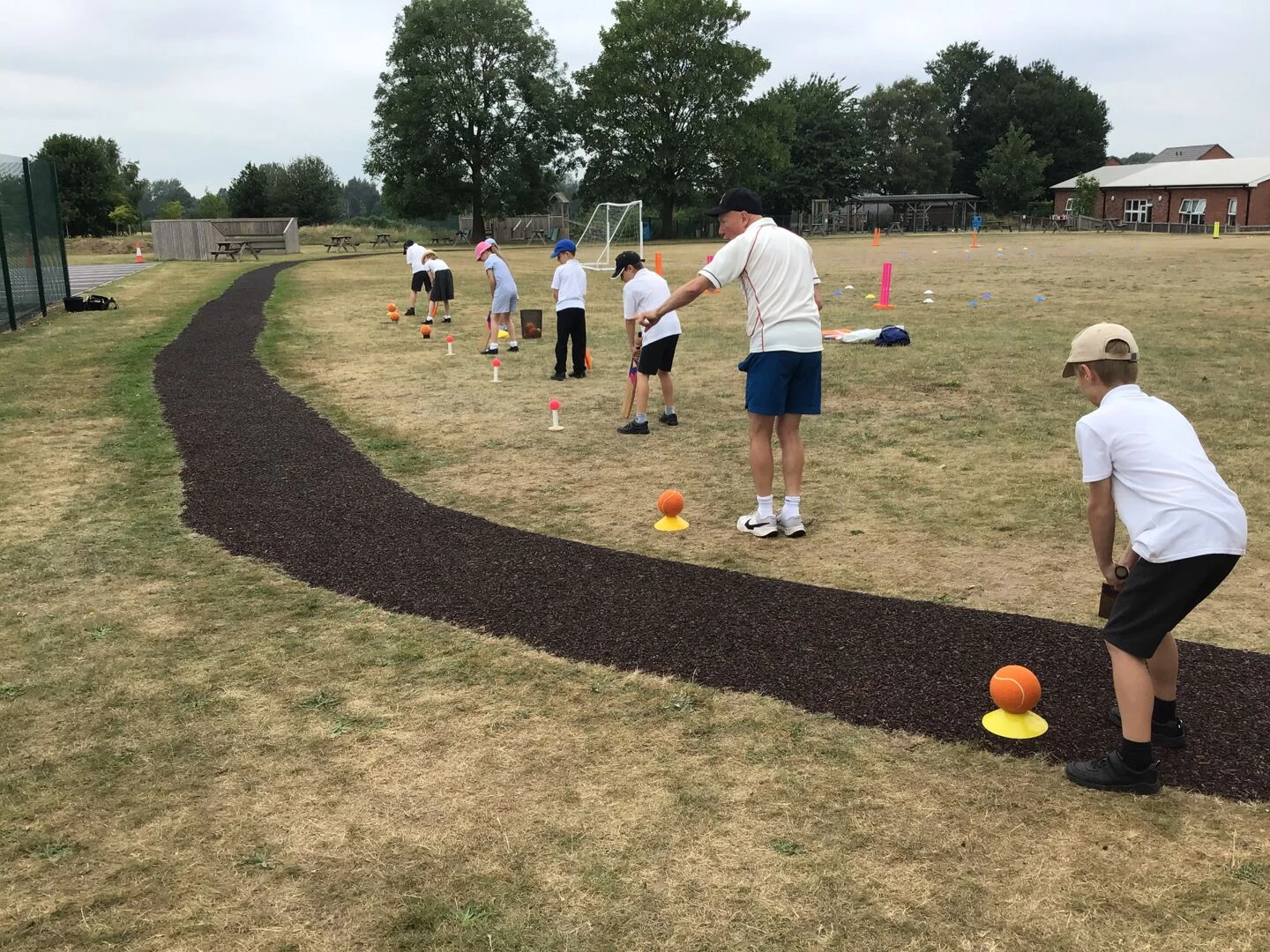 cricket y3