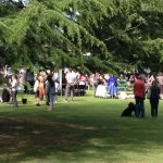 crowds gather at dodworth garden party