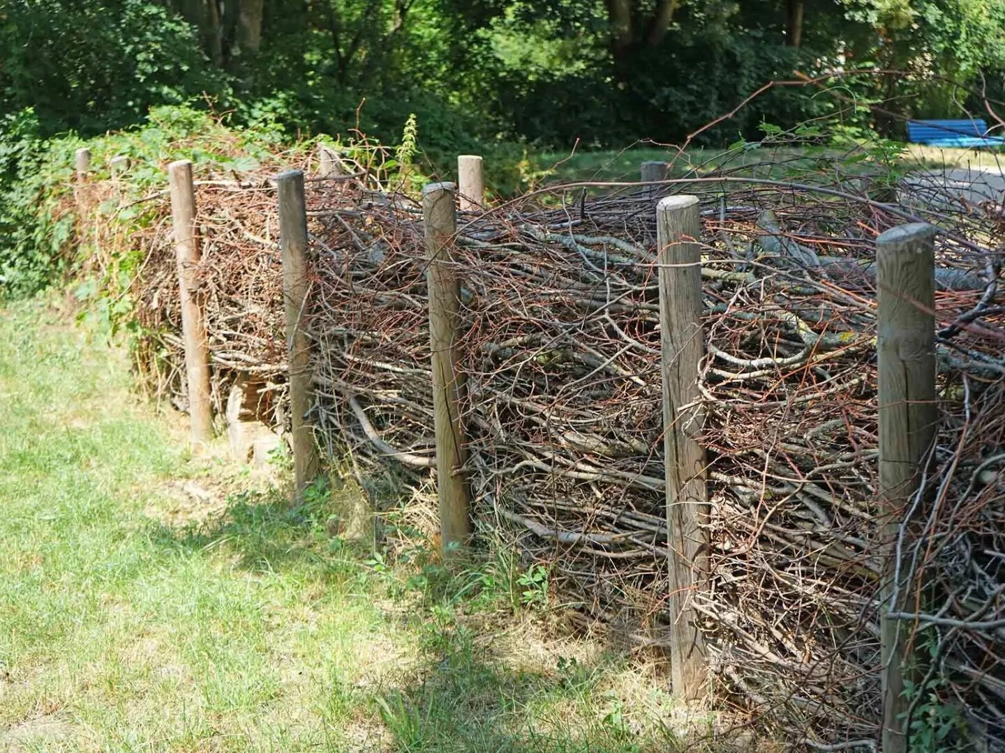 dead hedge