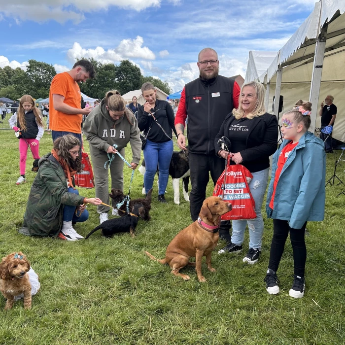 dog show 4