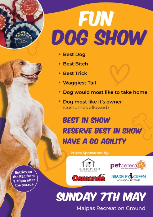 dog show