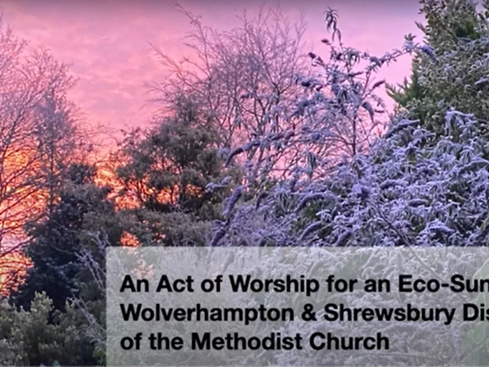 ecodisrtict sunday resource