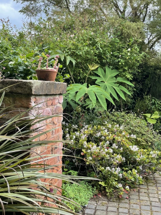 ef3c93d4ab0f4ed68be78af72a6d5835