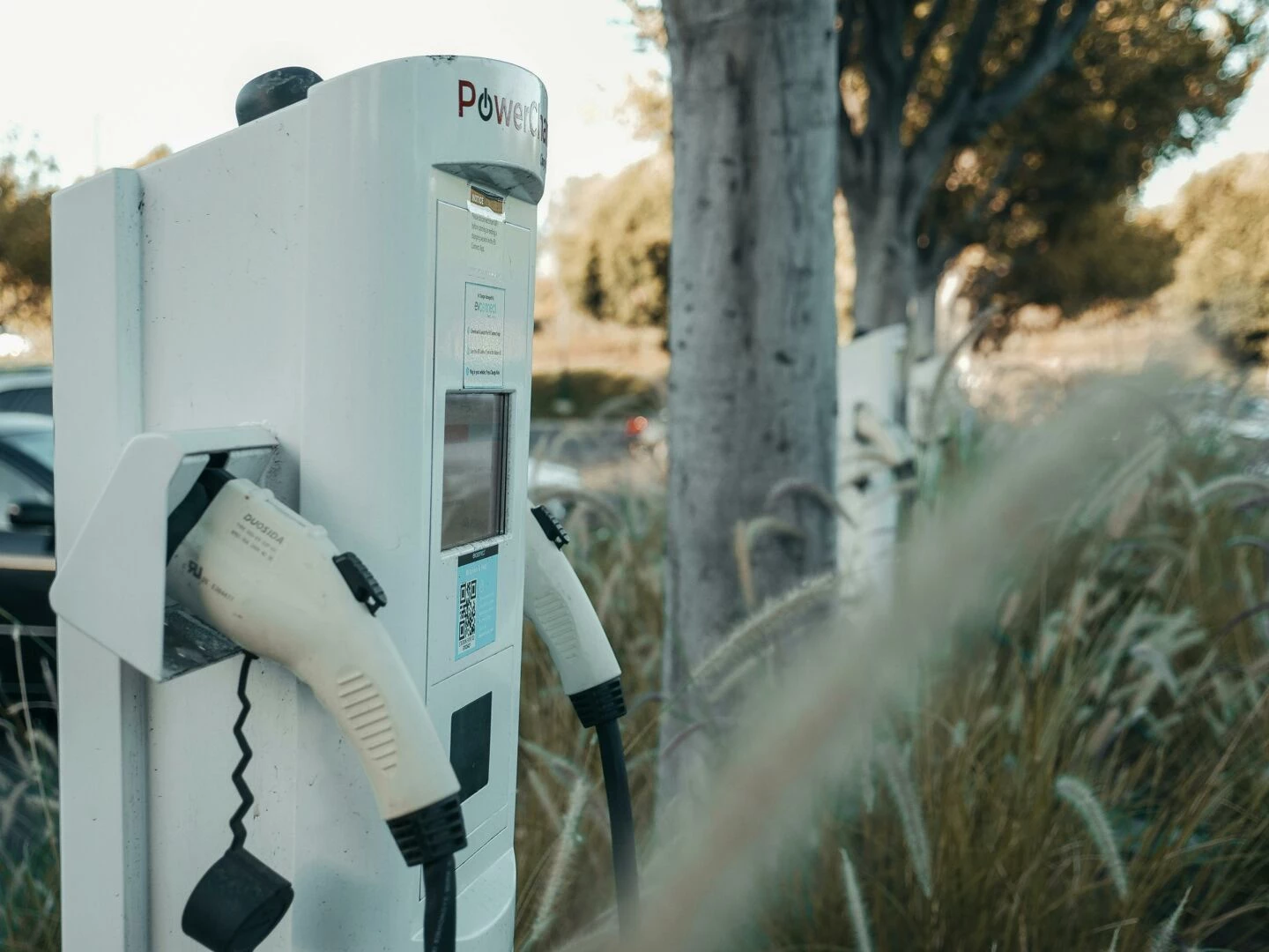 electric vehicle charging station in an outdoor natural setting highlighting sustainable technology