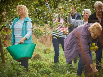 elswickresidentspickingapples