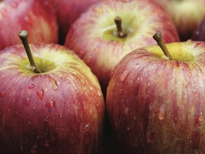 english apples
