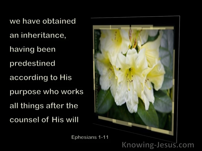 ephesians 111