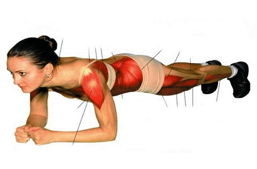 exercise 5