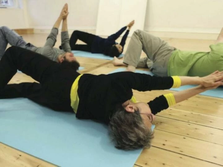 feldenkrais