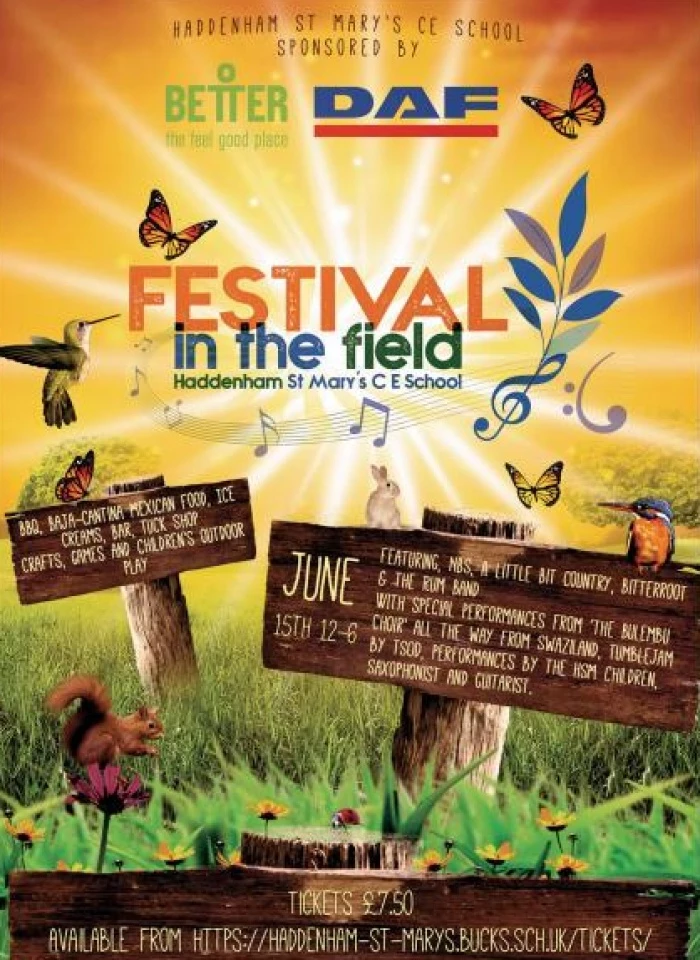 festival in the field