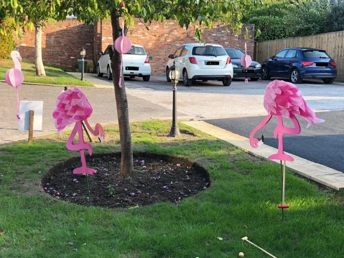 flamingo 2