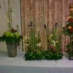 flowers 1