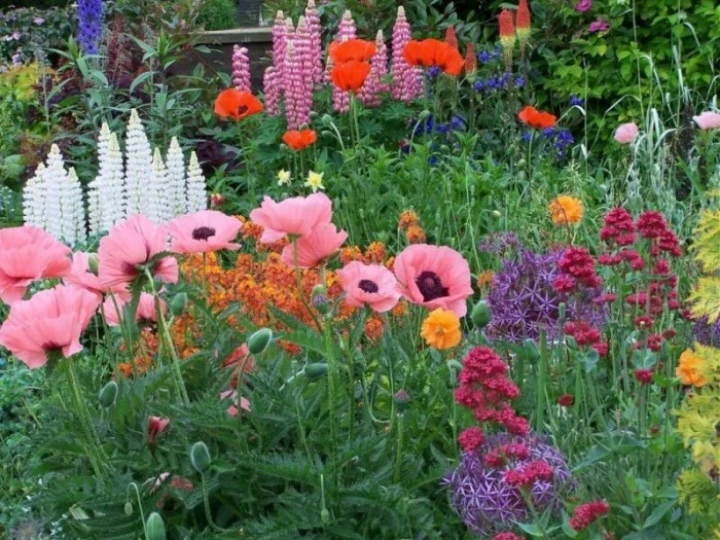 flowers