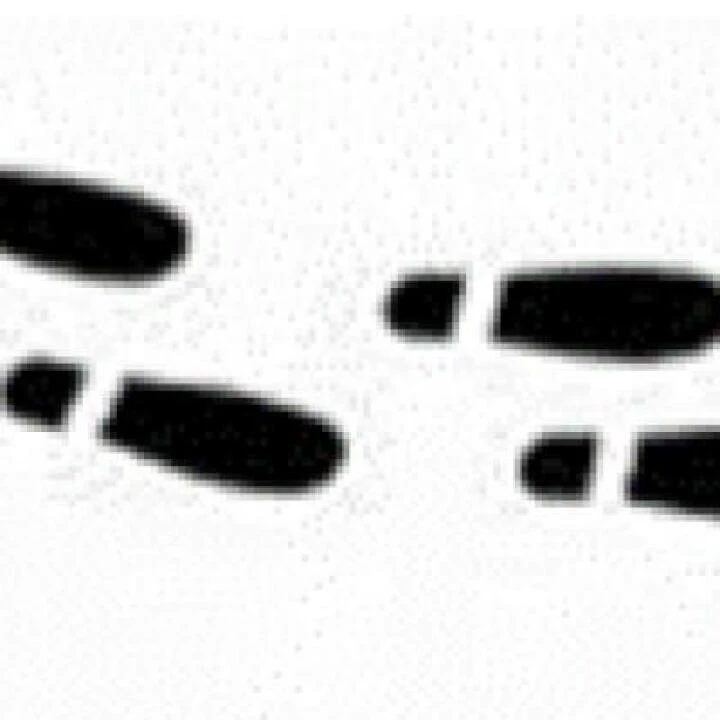 footsteps