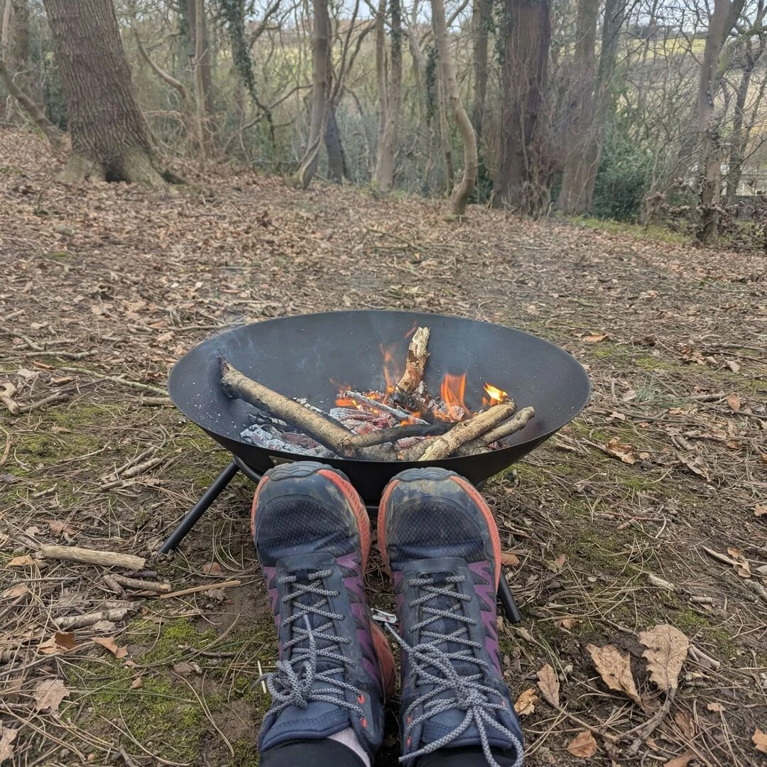 forest 3