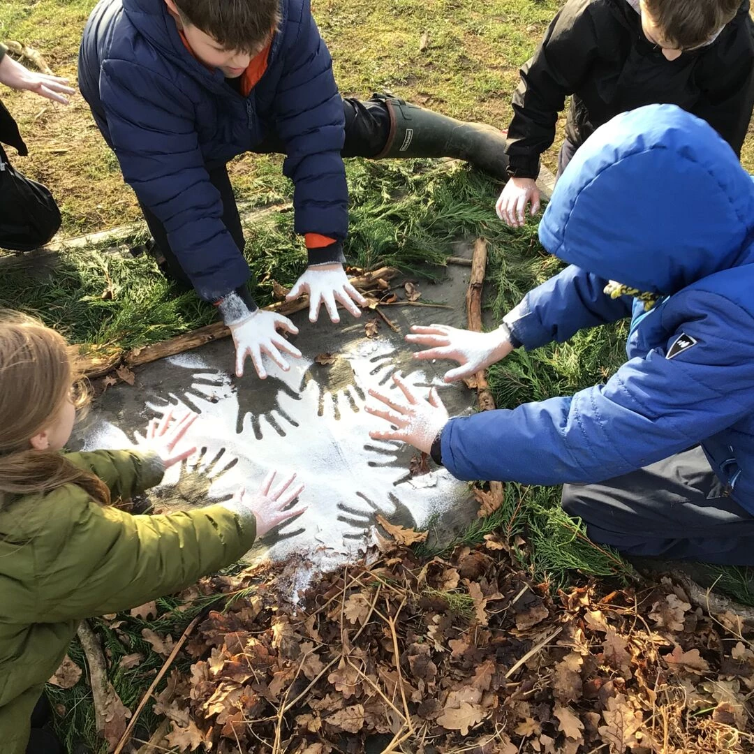 forest schools