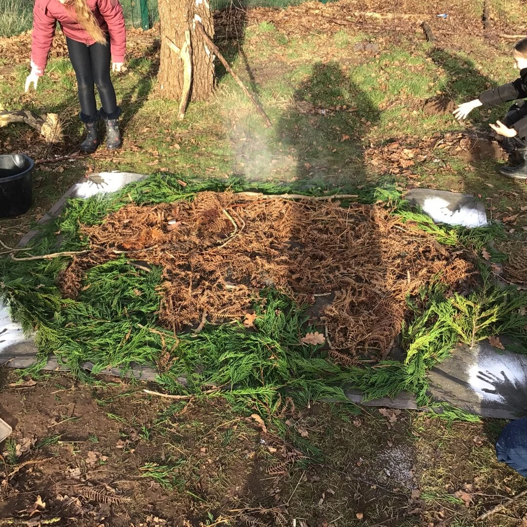 forest schools