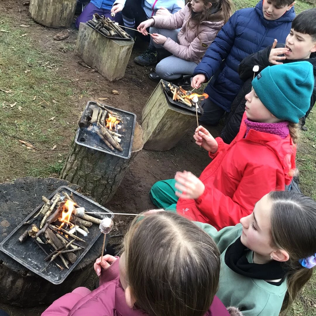 forest schools