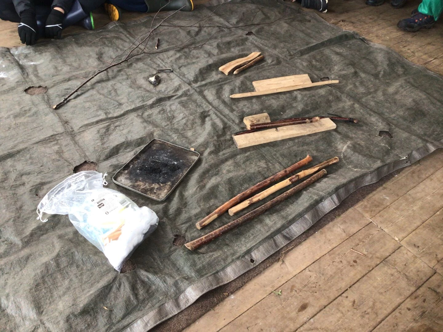 forest schools