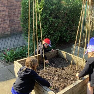 gardening