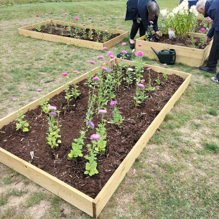 gerald dixon community garden 4