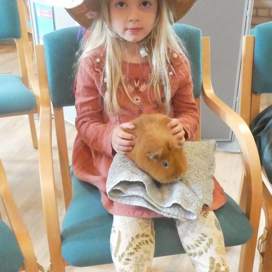 girl and guinea pig