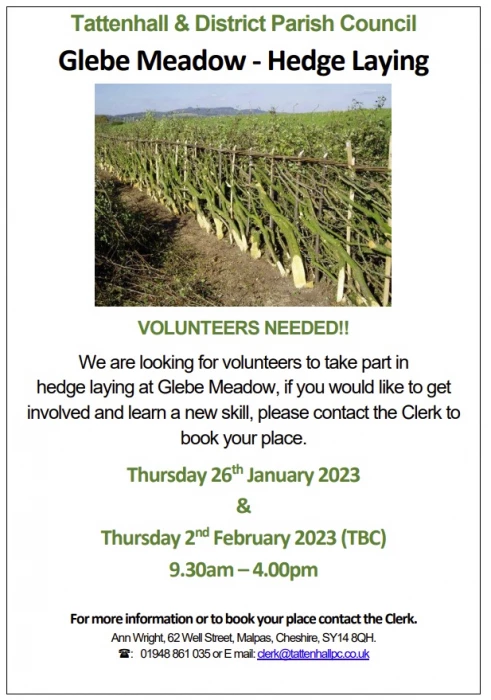 glebe meadow hedge laying