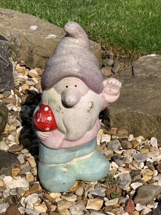 gnome1