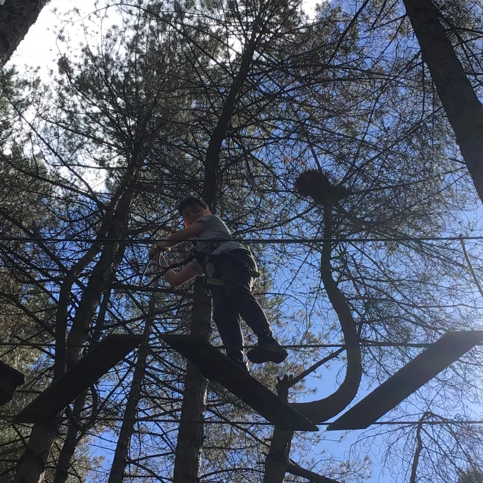 go ape