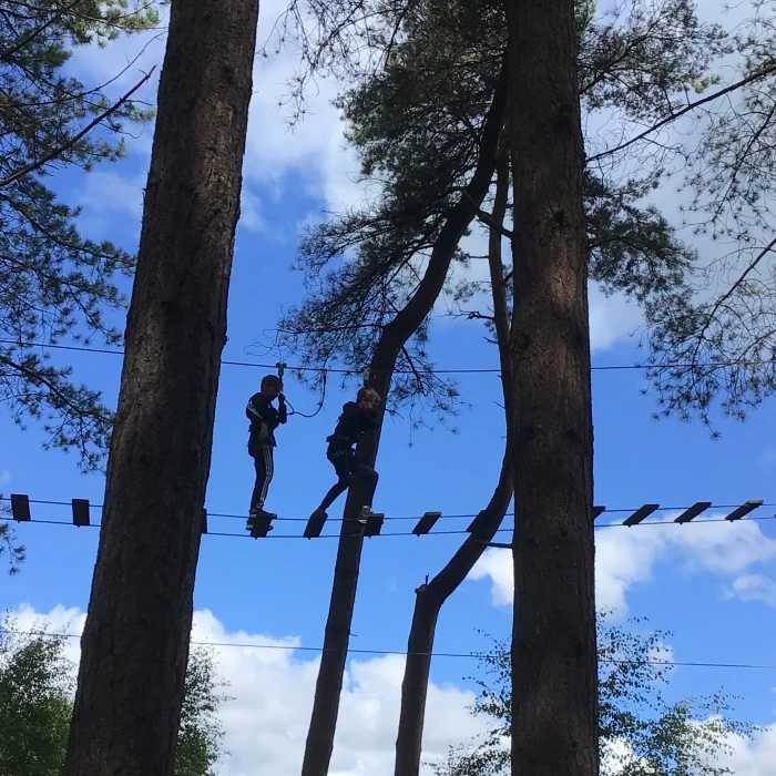 go ape