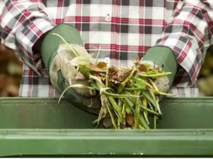 green bins