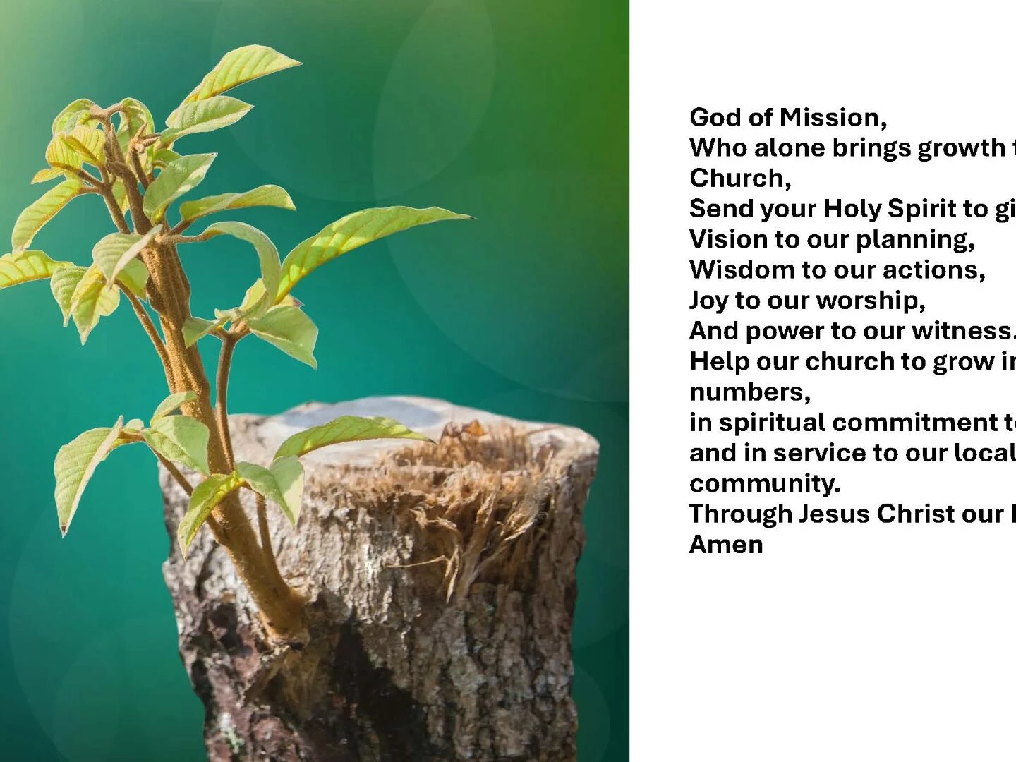 growth planning postcard prayer