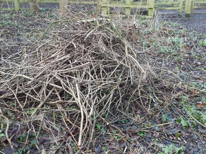 habitat piles 1